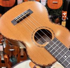 Kamaka HF-2DS【コンサートサイズ】【2019年製】_4