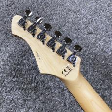 Aria Pro II 714-AE200 SR (See-through Red) -Aria Evergreen-【NEWカラー】【価格を超えた高級感!】_7