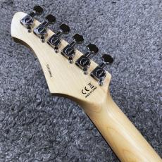 Aria Pro II 615-AE200 SR (See-through Red)  -Aria Evergreen- 【NEWカラー】【価格を超えた高級感!】_8