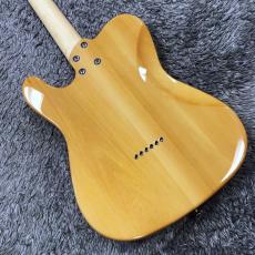 Aria Pro II 615-AE200 SR (See-through Red)  -Aria Evergreen- 【NEWカラー】【価格を超えた高級感!】_9