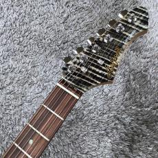 Aria Pro II 615-AE200 BKDM (Black Diamond)  -Aria Evergreen-【NEWカラー】【価格を超えた高級感!】_7