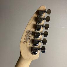 VOX APC-1 (modify) 【現物画像】_7