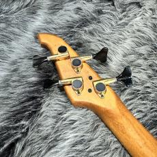 ATLANSIA JUPITER BASS_7