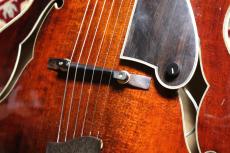 Eastman AR810CE Antique Red_5