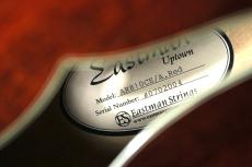 Eastman AR810CE Antique Red_7