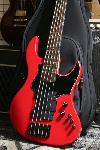 Edwards Platinum E-AMAZE-5-190 IKUO Signature Model