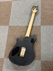 EVH Wolfgang Special, Ebony Fingerboard, Stealth Black_3