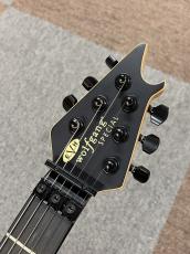 EVH Wolfgang Special, Ebony Fingerboard, Stealth Black_4
