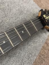 EVH Wolfgang Special, Ebony Fingerboard, Stealth Black_7