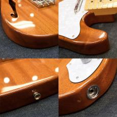 Fender Japan TN70_4