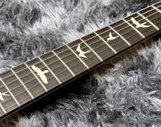 Paul Reed Smith [PRS] CE 24 Custom Configuration Custom Color_6
