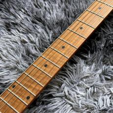 Bacchus BSH-900ASH/RSM SBBD -Global Series-【生産完了特価】_5