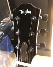 Taylor CT5z B5009 T5z Holographic Pearl_5