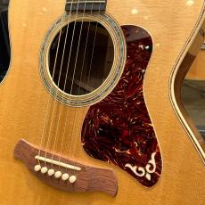 Taylor Gold Label 814e_3