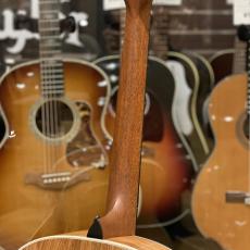 Taylor Gold Label 814e_8