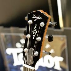 Taylor Gold Label 814e Koa_4
