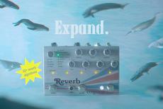 Empress Effects Reverb - Multi Mode Stereo Reverb_4