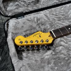 Fender American Professional II Stratocaster RW 3TSB_5