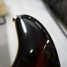 Fender American Professional II Stratocaster RW 3TSB_10