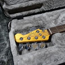 Fender American Professional II Jazz Bass V RW 3TSB_5