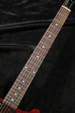 Gibson Les Paul Junior Double Cut Tortoise -Vintage Cherry-【3.01kg】【限定モデル】_2
