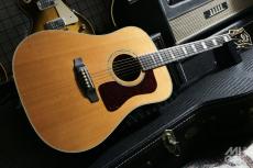 Guild D-55 2010