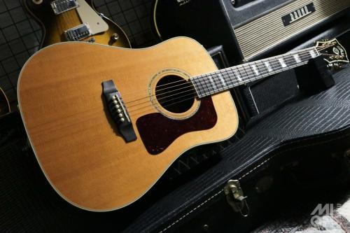 Guild D-55 2010
