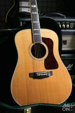 Guild D-55 2010_2