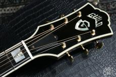 Guild D-55 2010_3