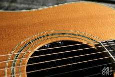Guild D-55 2010_5