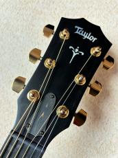 Taylor 【タリアカポプレゼント!!】724ce V-Class #1208224087【送料当社負担・最大48回無金利】_5
