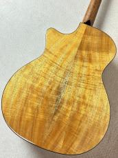 Taylor 【タリアカポプレゼント!!】724ce V-Class #1208224087【送料当社負担・最大48回無金利】_8