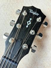Taylor 【タリアカポプレゼント!!】314ce Next generation【定番モデル】【送料当社負担・最大48回無金利】_5