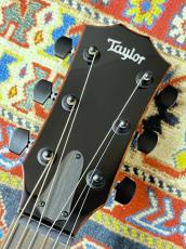 Taylor 【早割ボーナスセール・タリアカポプレゼント】Custom GA UrbanAsh #13031 【1点物・最大48回分割無金利】_5