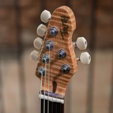 Truth TST-201 5A Roasted Flame Maple Neck/Rosewood FB Dark Black Metallic_9