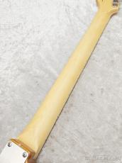 FUJIGEN NTE100MAH VNT【J250355】【3.77kg】_8