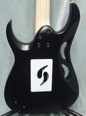 Ibanez PIA3761 -Onyx Black-【Steve Vai New Signature】_4
