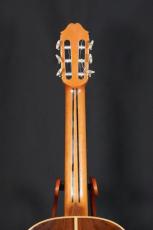 桜井正毅 PJ-J aged　松/真正ハカランダ単板　ワンオーナー美品_6