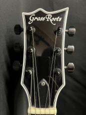 GrassRoots G-EC-CTM Mod_3
