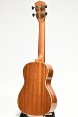 DCT DUC-450 【コンサート】【スプルース×マホガニー/トップ単板】【アバロン】_4