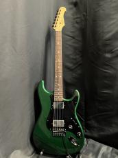 FUJIGEN NCST CTM_2