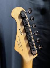 FUJIGEN NCST CTM_6