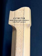 strandberg Boden Standard NX6 Tremolo_6
