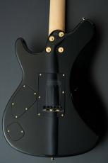 Sugi Standard Series DS496IR FM-EX/HM/F-MAHO -SBL-_7