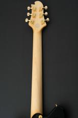 Sugi Standard Series DS496IR POP/HM/F-MAHO -SPB-_7