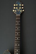 Sugi Standard Series DS496IR POP/HM/F-MAHO -RBL-_4