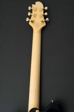 Sugi Standard Series DS496IR POP/HM/F-MAHO -RBL-_8