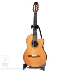 Gibson Chet Atkins CE AN (Nylon Strings)_2