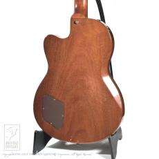 Gibson Chet Atkins CE AN (Nylon Strings)_4