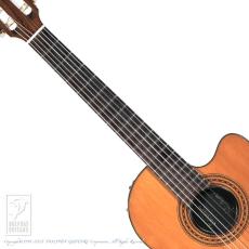 Gibson Chet Atkins CE AN (Nylon Strings)_5